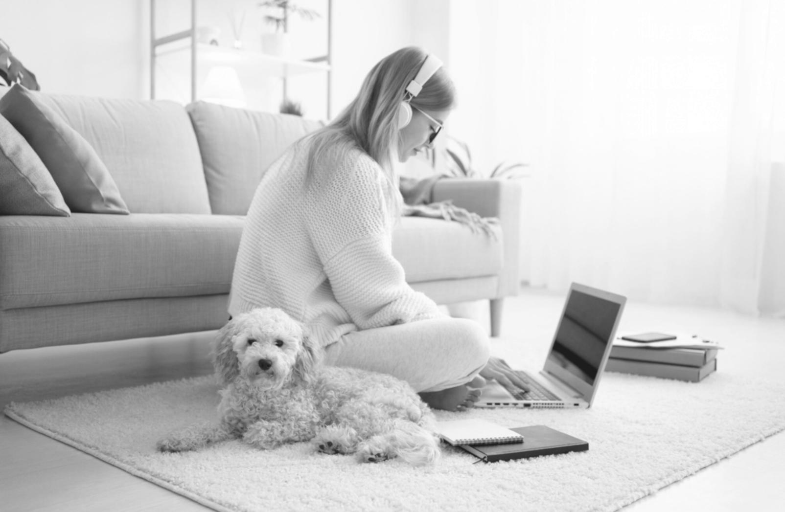 Team collaboration workspace showing financial analysis tools and planning materials